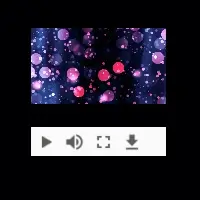 Happy Birthday Song Arabic Video 11